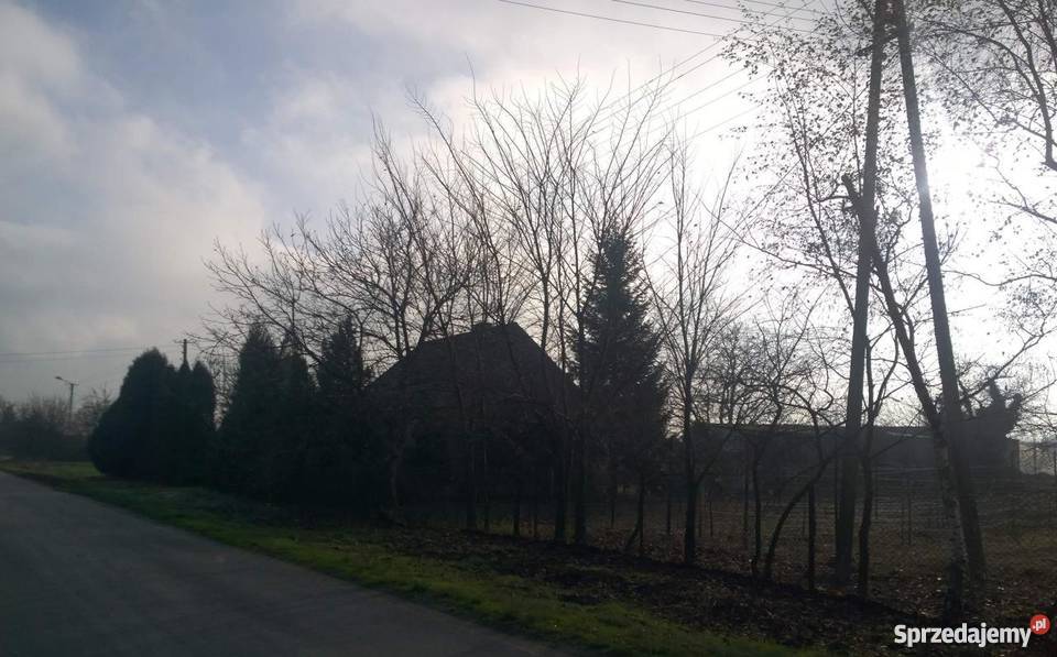 dom do sprzedania Czerniejewo 240m