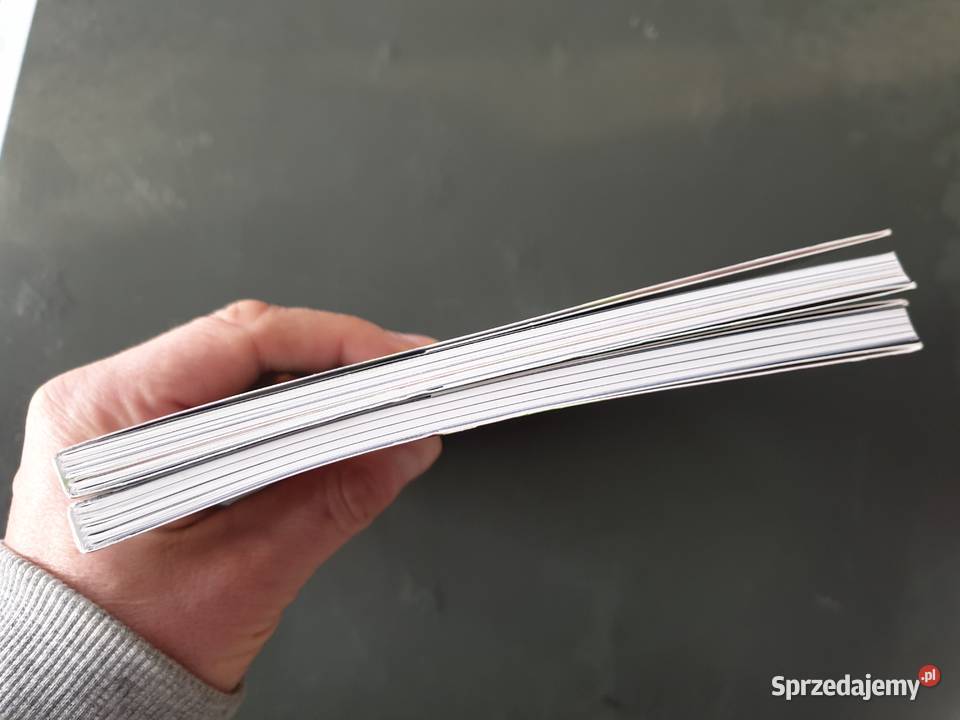 Rick and Morty tom 1 2 Gdynia