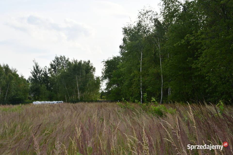 Działki 11a pod zabudowę Rudna Mała inwestycyjna sprzedam