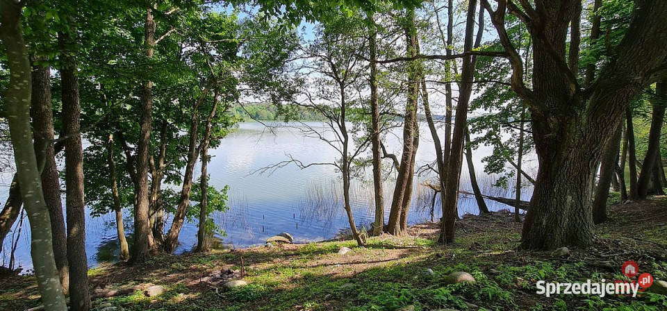 Sprzedam działka Kiersztanowo 10850m2 szambo