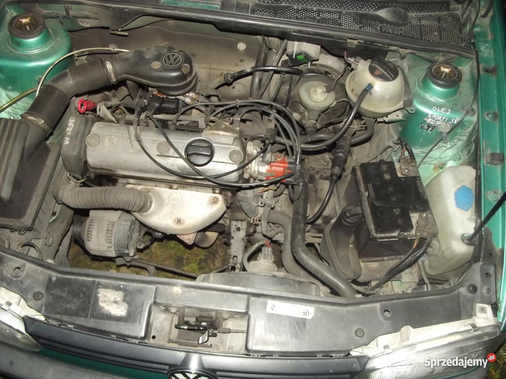 VW GOLF III 14 BENZYNA 4/5 kujawsko-pomorskie Lisek