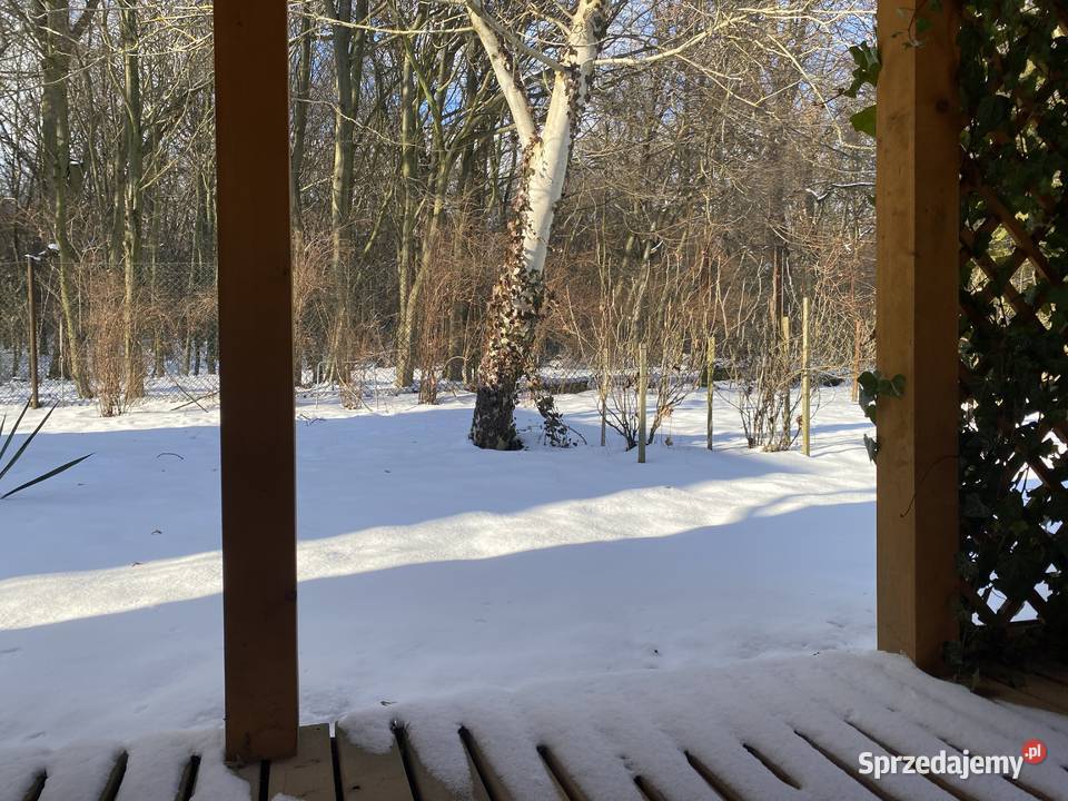 Działka ROD z domkiem Lublin Stary Las sprzedam