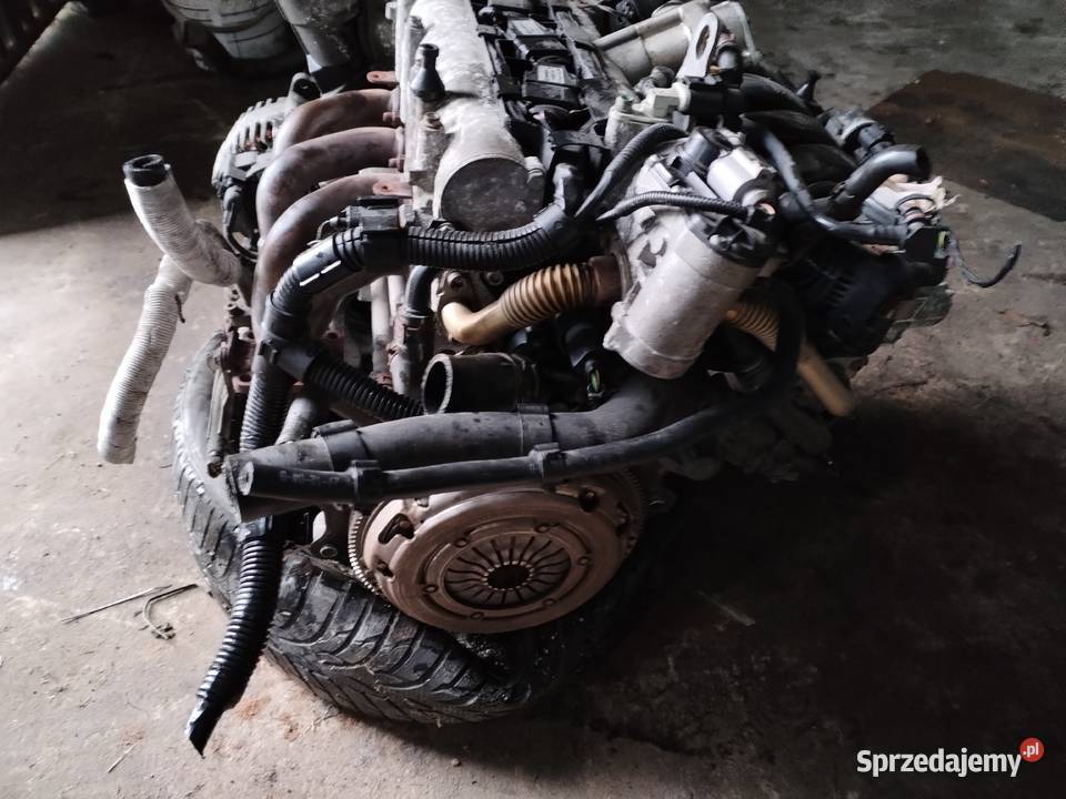 Silnik VW Golf V Plus 16 fsi BLF osobowe Silniki kompletne Chęciny sprzedam