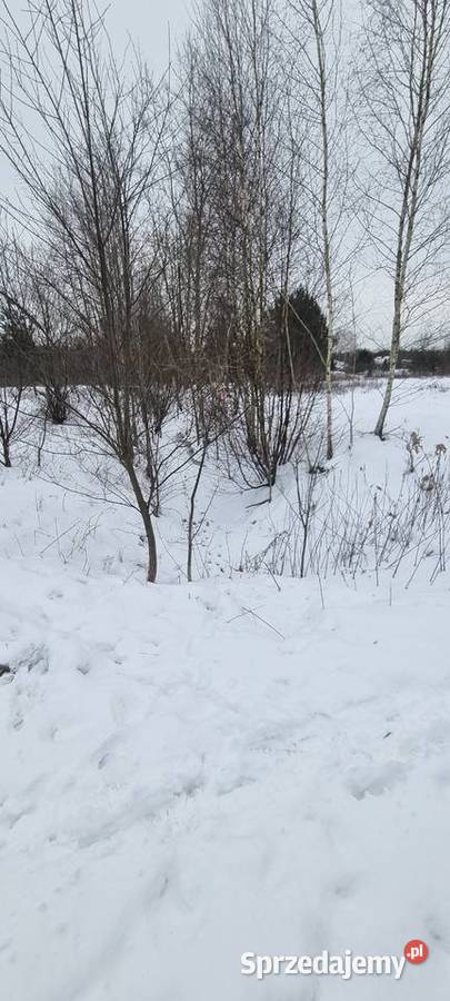 Syndyk sprzeda udział 13 w nieruchomości Wołomin