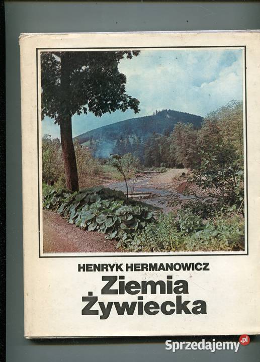 Ziemia Żywiecka Hermanowicz Szczecin