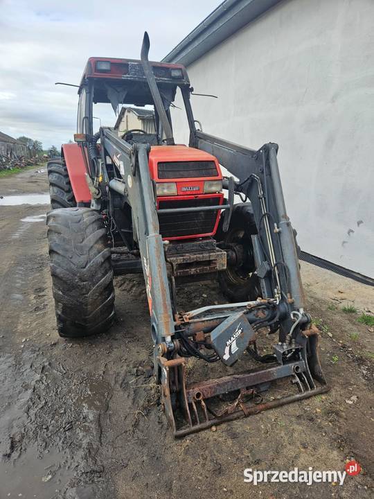 Case 5120 Maxxum Tłumik drgań Pozostałe Wilkowo