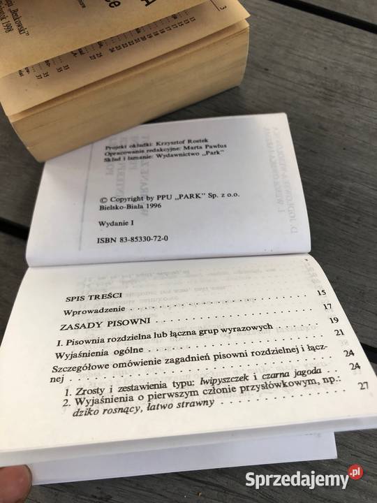 Literatura w pigułce zasady pisowni interpunkcji Poznań