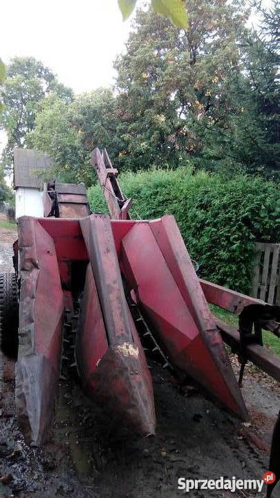 maszyna do zbioru kukurydzy kolby ziarno nieuszkodzony lubelskie Osiny