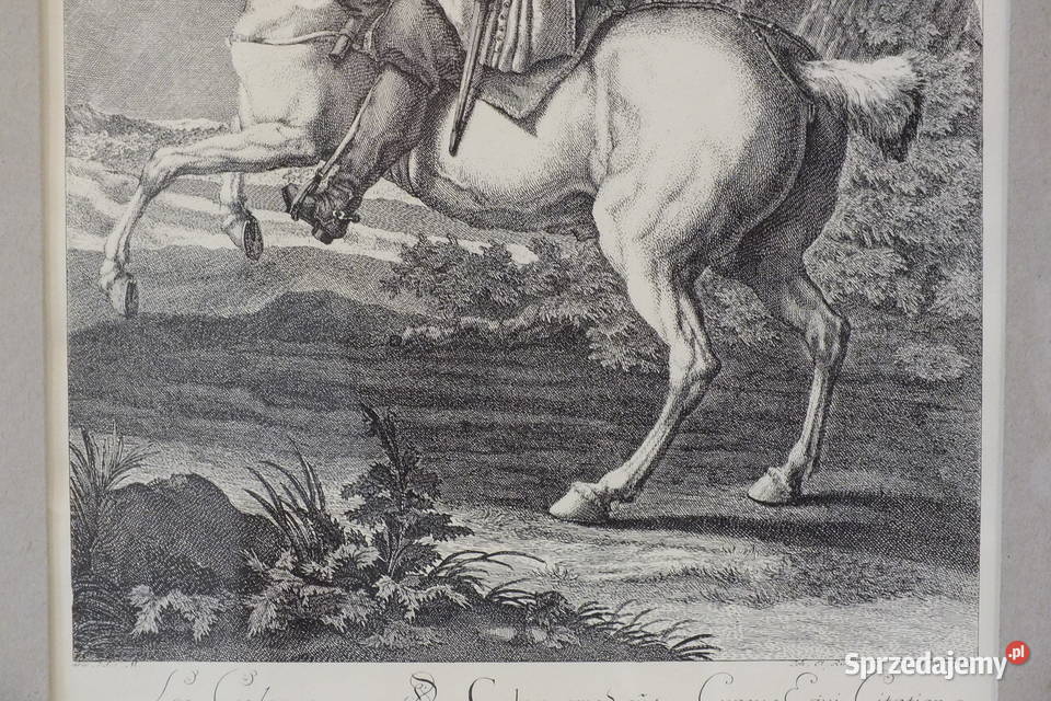 Johann Elias Ridinger Zestaw 2 miedziorytów 1734 Lubin