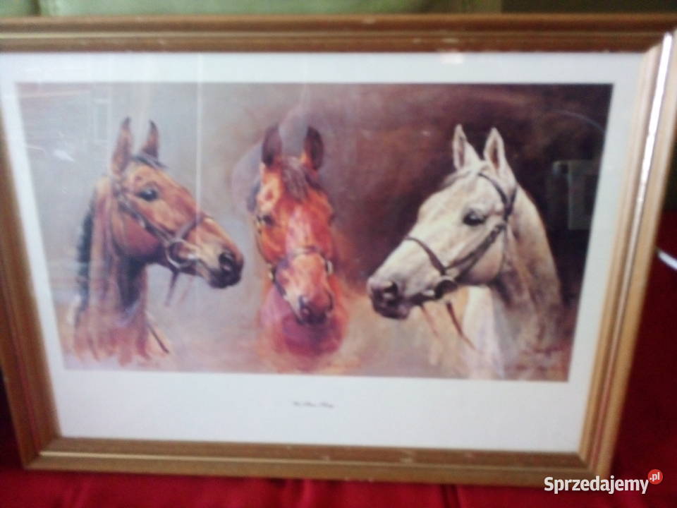 Obrazy różne Warszawa