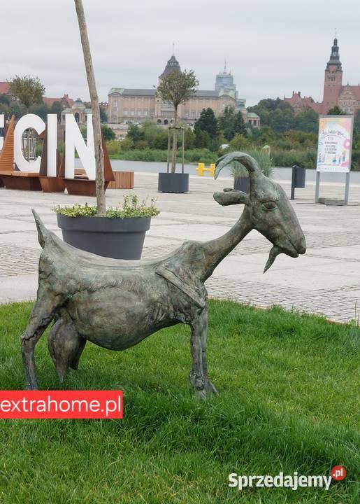 Mega Koń ze źrebakiem z brązu naturalnej mazowieckie Warszawa