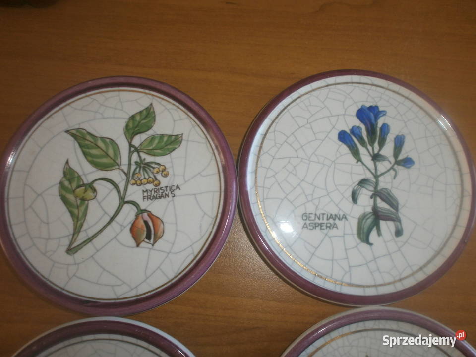 PLANTORGAN porcelana talerzyki 6 sztuk Pozostałe Zielona Góra sprzedam