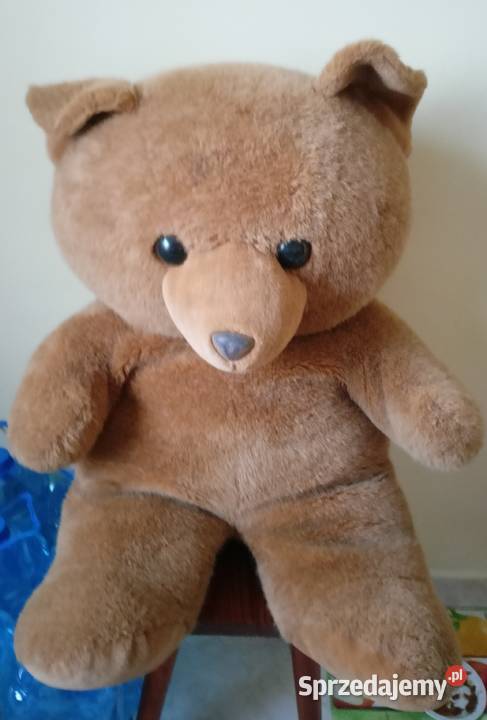Duży Pluszowy Miś 75 Tarnobrzeg