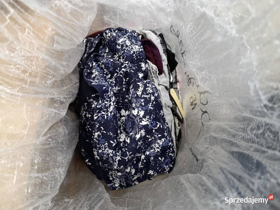 Koszule krawaty spodnie suknie marki Kowal