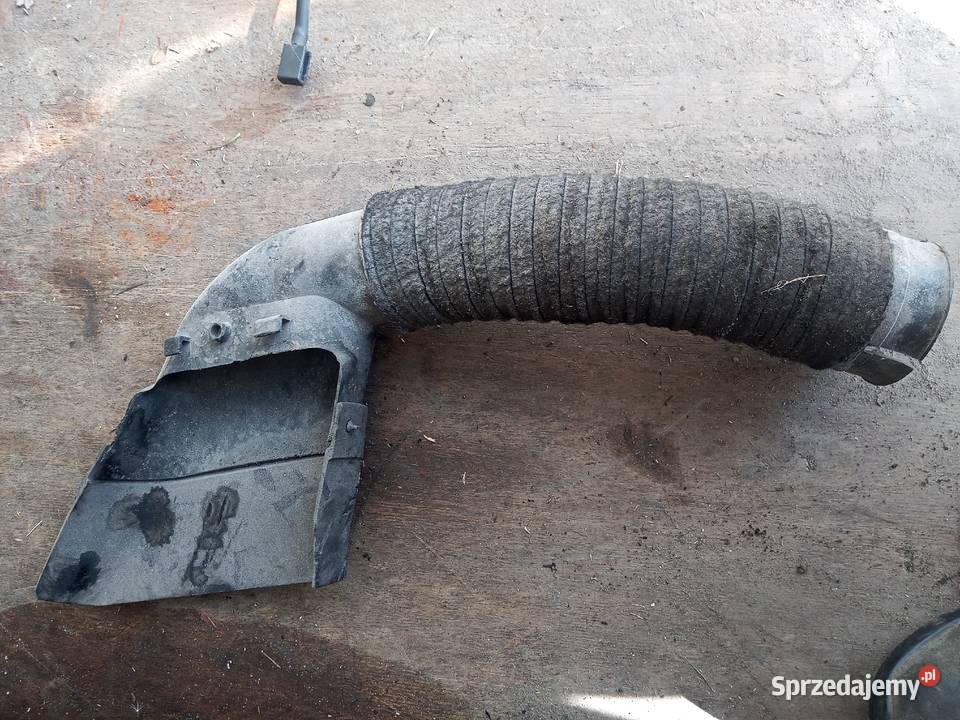 Rura dolotu F9Q 19 131 Renault Układ chłodzenia