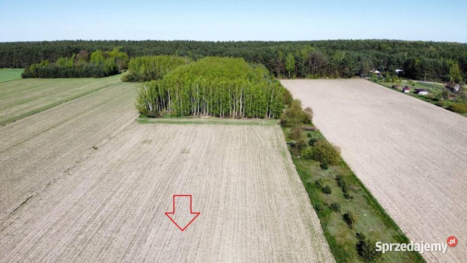 Sprzedam działki rekreacyjne Grunty i działki Jędrzejewo