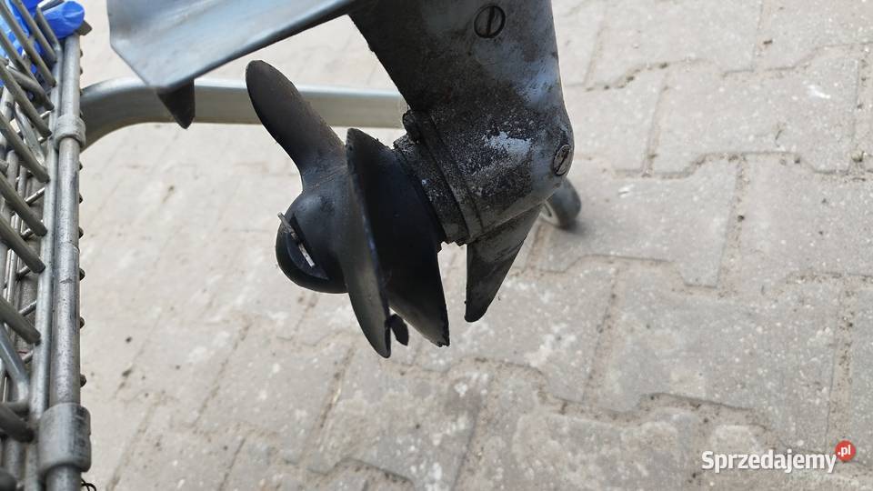 Silnik zaburtowy Evinrude BE4BRC08 lubuskie