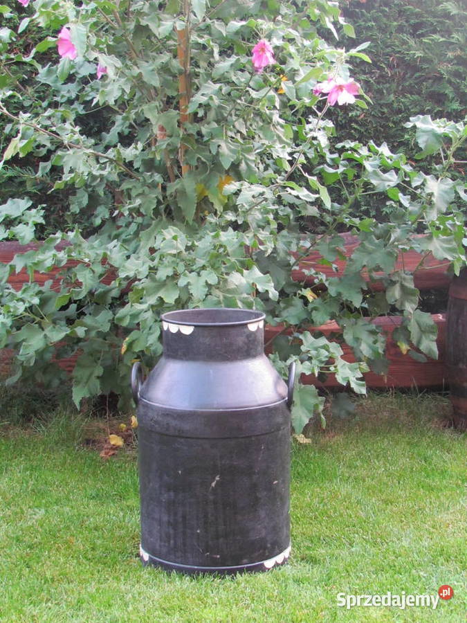 stara duża bańka na mleko do domu i ogrodu Stepnica