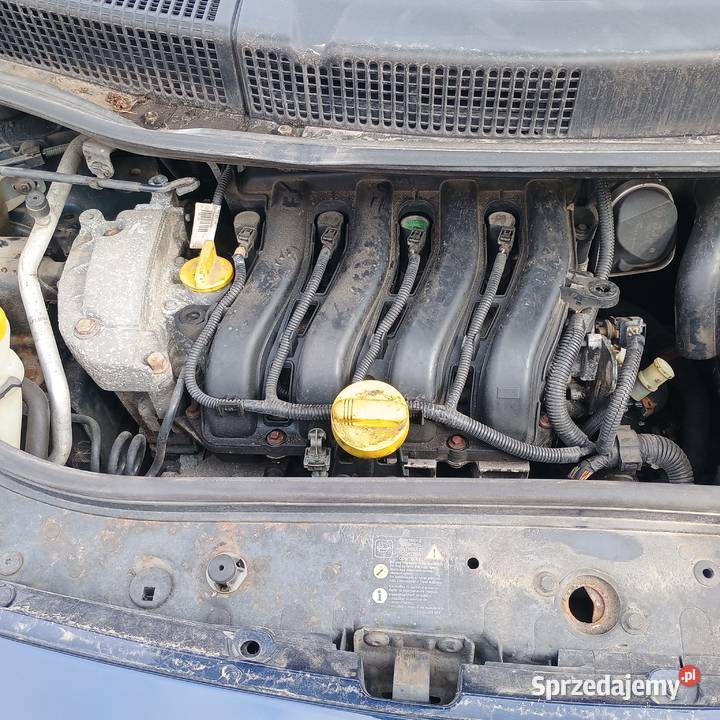 Renault Scenic 16 Benzyna 2007 Polift Sprzedaz Scenic lubelskie