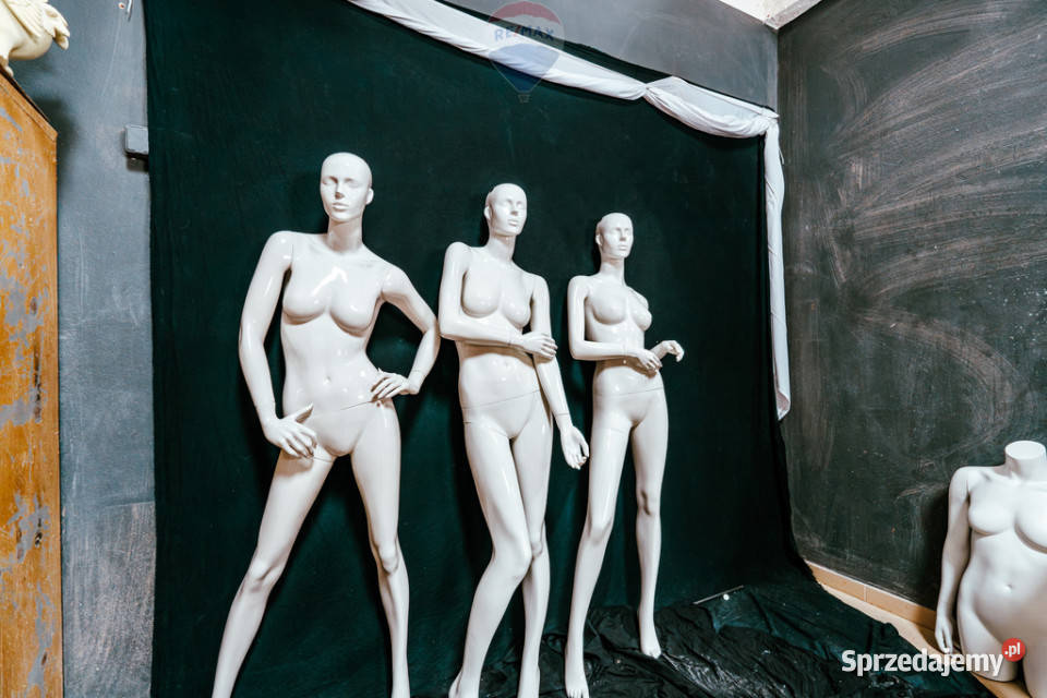 Nieruchomość Przemysłowa Fabryka Manekinów Radziszów