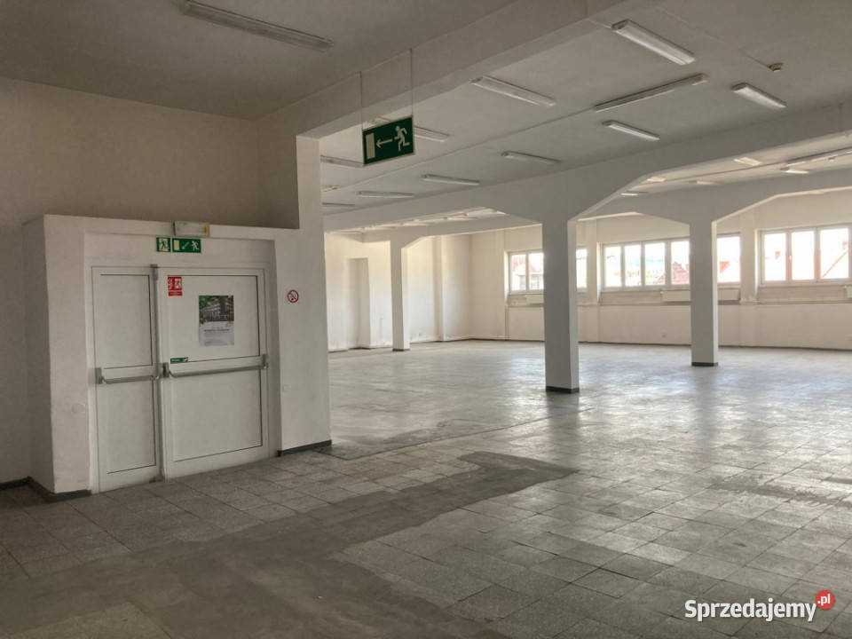 wynajmę lokal użytkowy w centrum Wałbrzycha 377m2 Wałbrzych