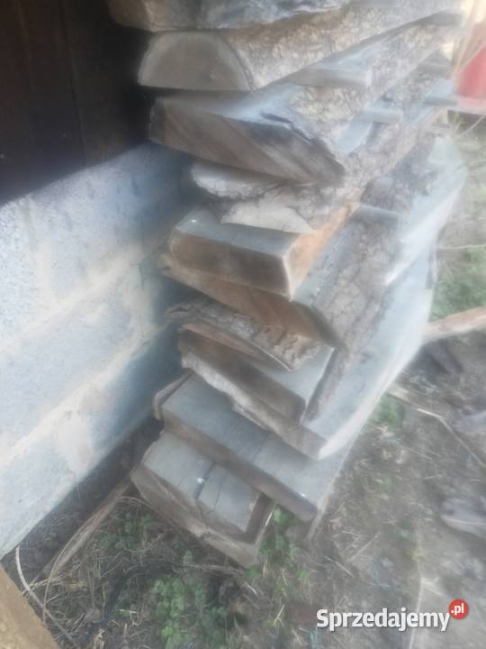 Brusy Dębowe Szufnarowa