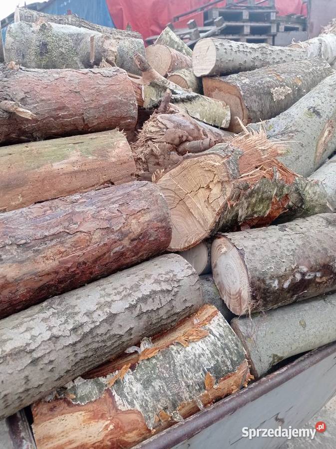 Drewno opałowe w 250 m3 Brzeźno