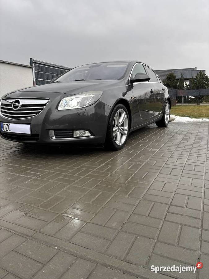 Opel Insignia 1968cm3 Bogatynia