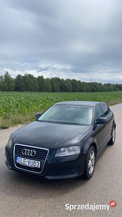Audi a3 8p sportback lift A3 pomorskie Lębork