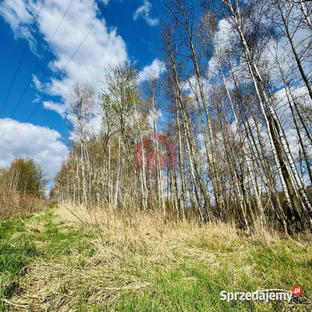 Działka 4100m2 Rzeszów Zielone Wzgórze telefon podkarpackie
