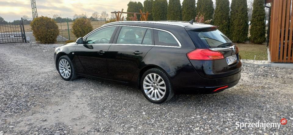 Opel Insignia 2010r 20cdti bez wkładu Grabki Małe