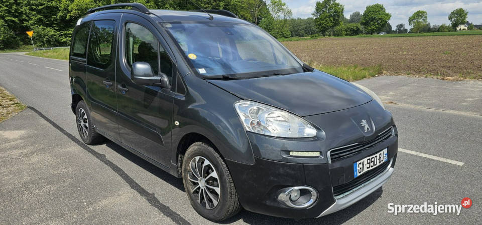 Peugeot Partner 16 Hdi 92 160 II 2008 immobilizer Partner