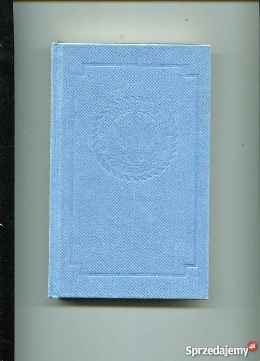 Rycerz Boskiego Wiatru