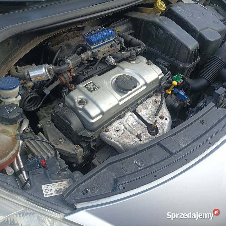 Peugeot 207 14 8v 73 Gaz LPG klima 5 Drzwi 2007r srebrny Rzeszów