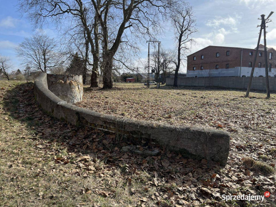 Na sprzedaż Zabytkowy Pałac z dużą działką Skórzyno