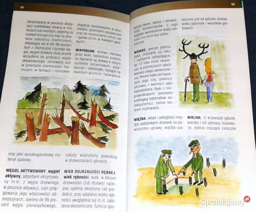 Las słowami opisany Słowniczek terminów leśnych Chełm sprzedam