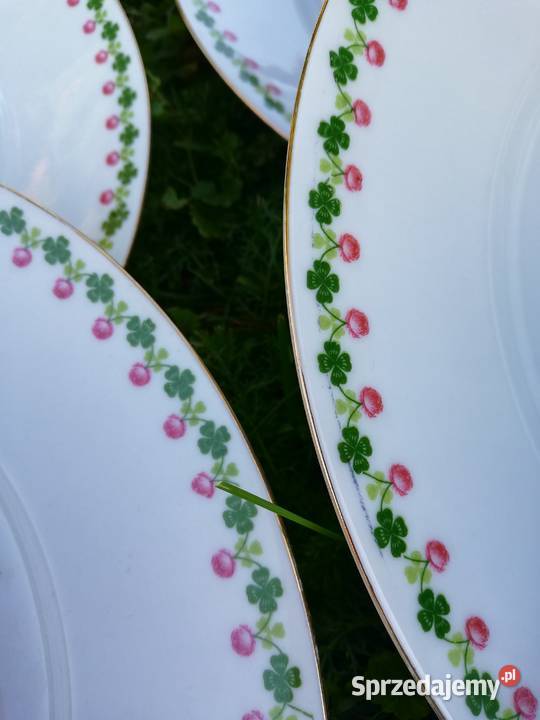 talerze obiadowe małopolskie Ropa
