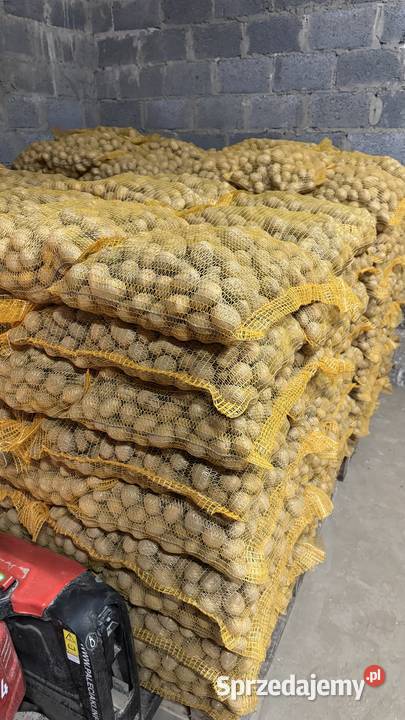 Ziemniaki kalibru 4050 Sułoszowa