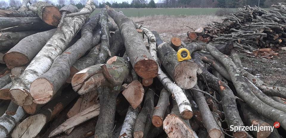 Drewnodrzewo opał rozpałka wiórka Mortąg