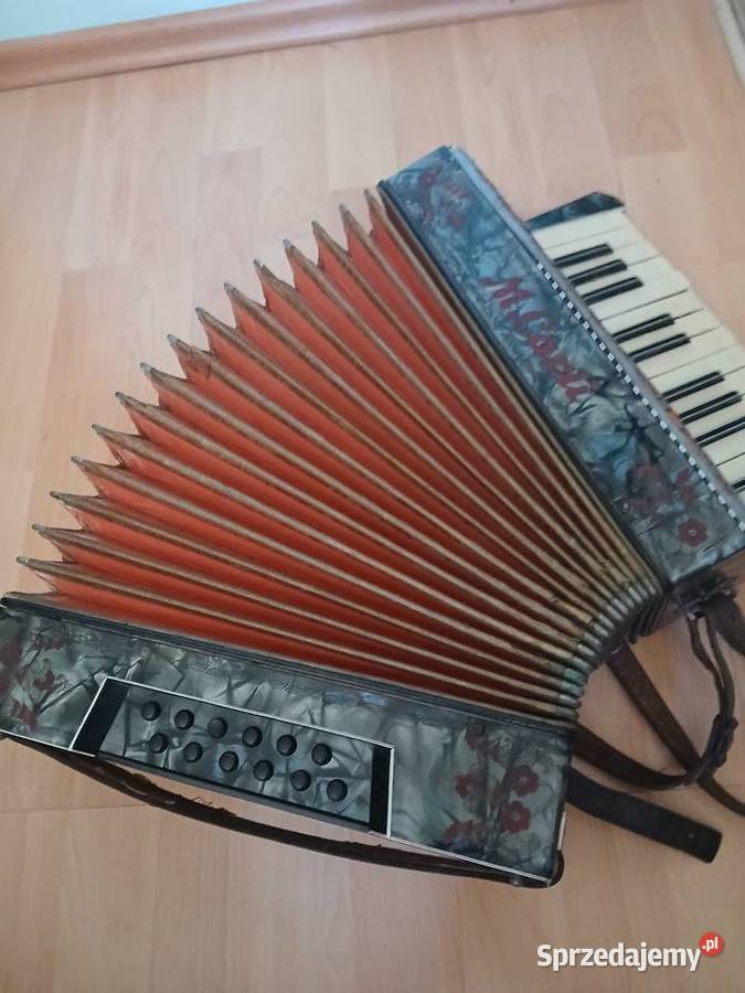 Akordeon M Carli Casio Instrumenty klawiszowe i MIDI małopolskie Kraków