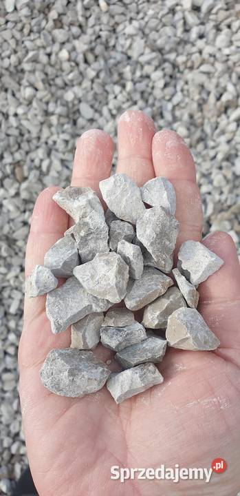 Grys szary dolomitowy 816 kamień ogrodowy Chynów
