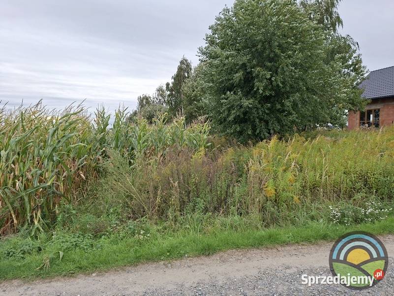 Kobylany gm Zabierzów płaska 35arowa działka