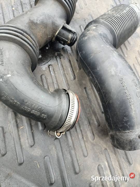 Dolot powietrza citroen Xsara Picasso 16 HDI Szczecin