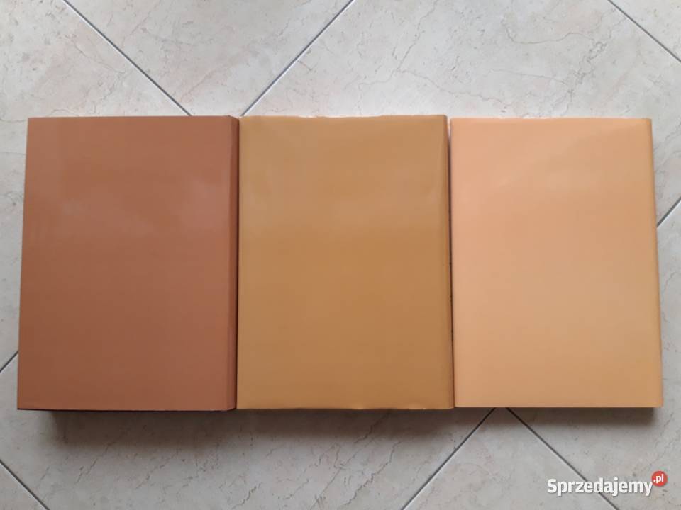 Słownik Medycyny i Farmacji Górnego Śląska 3 Bielsko-Biała sprzedam