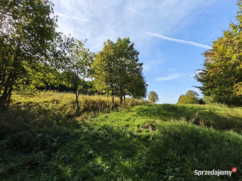 Działka leśnorekreacyjna 3 194 m Cergowa gm