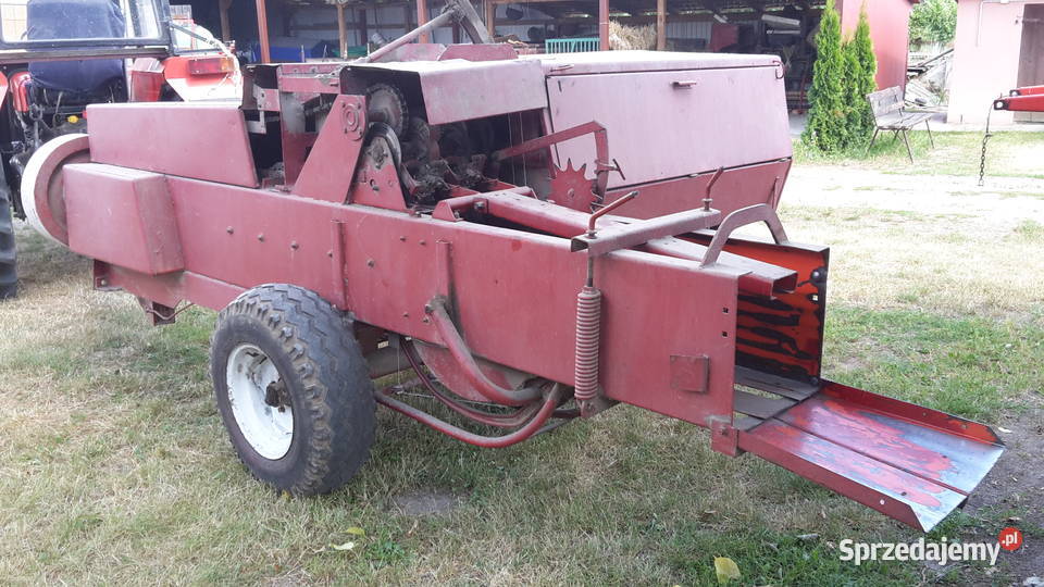 prasa sipma kostka Firlej