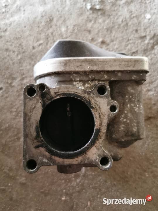 PRZEPUSTNICA POLO podkarpackie Jarosław sprzedam