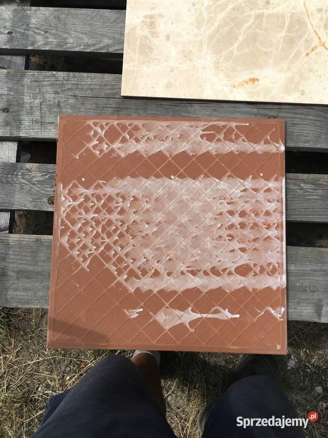 Terakota elda marfil 45x45 firmy ECOCERAMIC Reguły