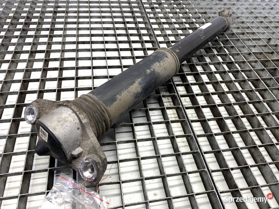 AMORTYZATOR PRAWY TYŁ SSANGYONG TORRES Crossover Amortyzatory Motoryzacja podkarpackie