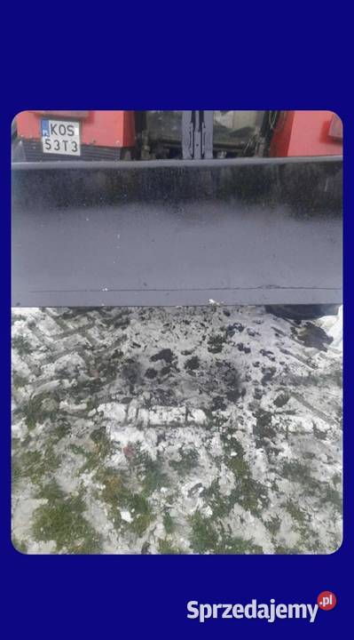 sprzedam pug śnieżny Wawrzeńczyce